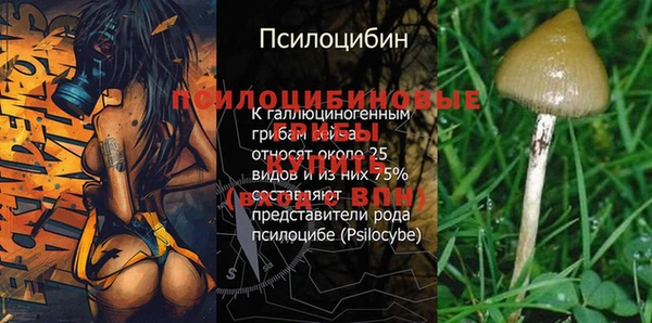 СК Ладушкин