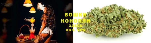 метадон Лагань