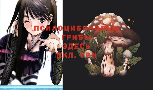 метадон Лагань