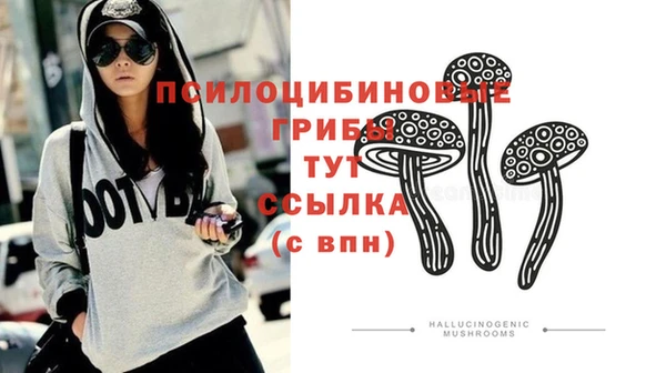 СК Ладушкин